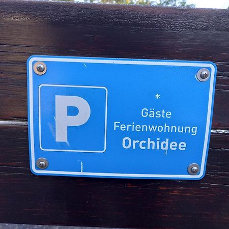 Ferienwohnung Orchidee 바트 뮌스터아이펠 외부 사진