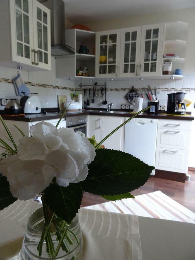 Ferienwohnung Orchidee 바트 뮌스터아이펠 외부 사진